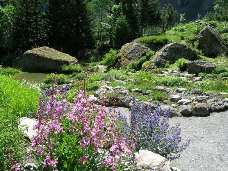 Giardino Botanico Alpino Paradisia, Italy